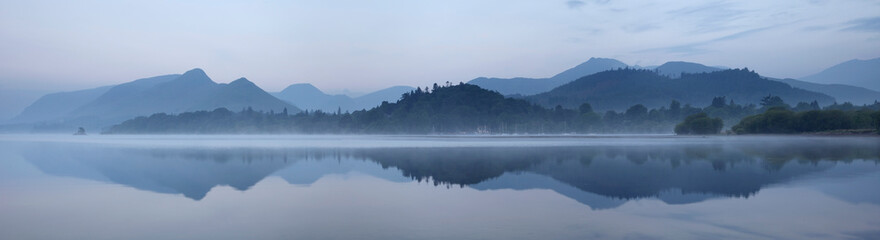 世界上什么树最长寿