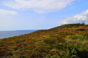 世界上有哪些已经灭绝的动物和濒临灭绝的
