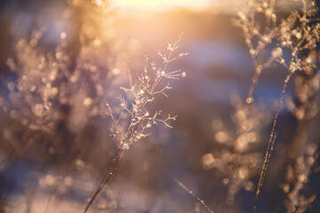 层次高的人层次低的人其本质上有什么不同？