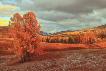 如何在初中数学教学中培养学生的应用意识和能力