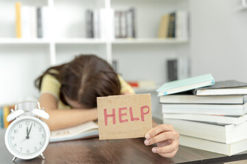 世界上什么树最长寿