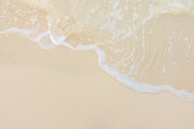 紫苏磨成粉加蜂蜜外涂有什么功效