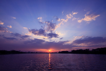 昆虫记32种昆虫的特点